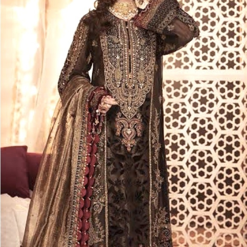 Beautiful brand new Pakistani/Indian dress.